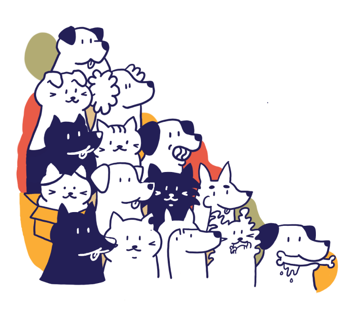 illustration